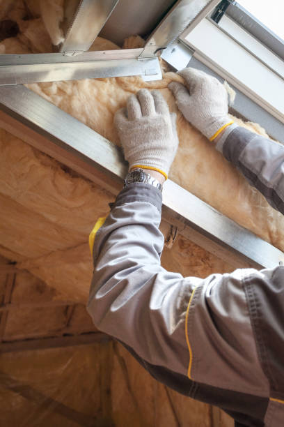 Best Home Insulation Services  in Chesapeake, VA