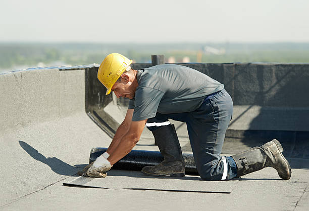 Best Affordable Insulation Services  in Chesapeake, VA