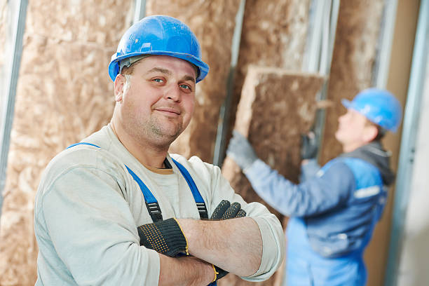 Best Insulation Removal  in Chesapeake, VA